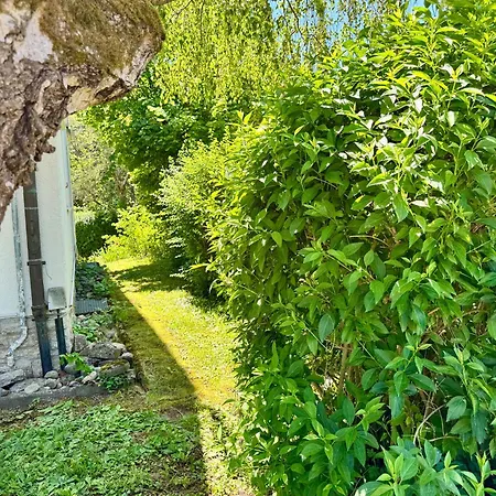 Pelkmann - Gruene Oase - Ganzes Haus * Weikersheim